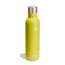Hydro Flask 25 Oz Ceramic Wine Bottle, Cactus, 25 oz, VC25752