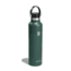 Hydro Flask Standard Flex Cap, Fir, 24 oz, S24SX332