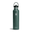 Hydro Flask Standard Flex Straw Cap, Fir, 24 oz, S24FS332