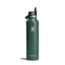 Hydro Flask Standard Flex Straw Cap, Fir, 24 oz, S24FS332