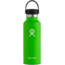 Hydro Flask Standard Mouth 18 oz-Kiwi