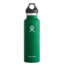 Standard Mouth 21 oz Bottle-Forest