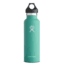 Standard Mouth 21 oz Bottle-Mint