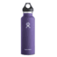 Standard Mouth 21 oz Bottle-Plum