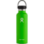 Hydro Flask Standard Mouth 21 oz-Kiwi