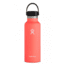 Hydro Flask Standard Mouth, Hibiscus, 18 oz., S18SX650