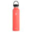 Hydro Flask Standard Mouth, Hibiscus, 24 oz., S24SX650