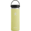 Hydro Flask 20oz Wide Mouth Flask, Pineapple, W20BTS750
