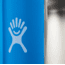 Hydro Flask 20oz Wide Mouth Flask, Pacific, W20BTS415