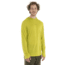 Icebreaker 125 Cool-Lite Sphere Long Sleeve Hoodie - Mens, Bio Lime, Extra Large, IB0A56EU864XL