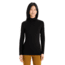 Icebreaker 260 Tech Long Sleeve Turtleneck Thermal Top - Womens, Black, Extra Small, IB0A56IF001XS