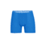 Icebreaker Anatomica Boxers - Mens, Lazurite, 2XL, IB103029580XXL