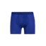 Icebreaker Anatomica Boxers w Fly - Mens, SURF, Small, 103030433S