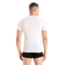 Icebreaker Anatomica Short Sleeve V Neck T-Shirt - Mens, Snow, Extra Large, IB103661104XL