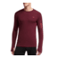 Icebreaker Apex Long Sleeve Crew - Men's-Redwood/Clay-Small