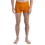 Icebreaker Cool-Lite Merino Anatomica Boxers - Mens, Earth, Medium, IB105246865M