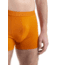 Icebreaker Cool-Lite Merino Anatomica Boxers - Men's, Earth, Medium, IB105246865M