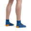 Icebreaker Hike+ Light Mini Socks - Men's, Lazurite/Solar/Snow, Large, IB105102954L