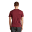 Icebreaker Merino 150 Tech Lite Short Sleeve Relaxed Tee - Mens