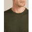 Icebreaker Merino 150 Tech Lite Short Sleeve T-Shirt - Mens