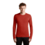 Icebreaker Merino 260 Tech Long Sleeve Crewe Thermal Top - Mens