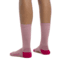 Icebreaker Lifestyle Light Crew Socks - Womens, Crystal/Electron Pink, Medium, IBIBN313A56M