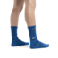 Icebreaker Lifestyle Ultralight Crew Backcountry Camp Socks - Mens, Lazurite/Snow/Ether, Medium, IB105305659M