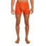 Icebreaker Merino 150 Anatomica Boxers wFly - Mens, Fervid, Extra Large, IB1030300GTXL