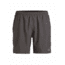 Icebreaker Strike Support Shorts, Monsoon, L, 103857002L