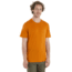 Icebreaker Tech Lite II Short Sleeve T-Shirt - Men's, Earth, 2XL, IB0A59IY865XXL