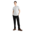 Icebreaker Tech Lite II Short Sleeve T-Shirt - Men's, Ether, Small, IB0A59IY568S