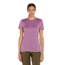 Icebreaker Women Merino 150 Tech Lite SS Tee, Deco, M, IB0A56Y802VM