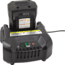 ION Replacement Standard Chargers, 30612