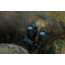 InfiRay Outdoor Mini ML19 Multi-Function Thermal Monocular, 384x288, 19mm, Black, IRAY-ML19