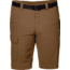 Jack Wolfskin Hoggar Shorts - Mens, Bark Brown, 34, 1503781-5129050