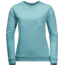 Jack Wolfskin Logo Sweatshirt - Womens, Aqua, Small, 1707191-4010002