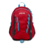 Jansport Agave Backpack-High Risk Red