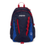 Agave Backpack-Navy Moonshine/Blue Streak