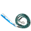 Kavu Leader, Spearmint 9056-14-3