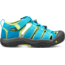 KEEN Big Kids Newport H2 Sandals, Hawaiian Blue/Green Glow, 1, 1012314-415-1