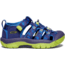 KEEN Little Kids Newport H2 Sandals, Blue Depths/Gargoyle, 8, 1009938-477-8
