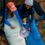 Kelty Cosmic 20 Deg 550 Down Sleeping Bag, Short, 35413724SR