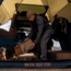 Kelty Highroads Shelter, BOV, 40831624BOV