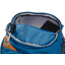 Kelty Redwing 50 Daypack, Lyons Blue, One Size, 22615220LYB