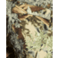Kings Camo Hunter Pant 2.0 - Mens
