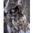 Kings Camo XKG 800 Fill Down Transition Jacket - Mens