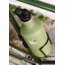 Klean Kanteen Kk Lpt 64 Oz Green K64CPPL-GF