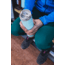 Klean Kanteen TKWide w/Twist Cap, 20oz, Blue Tint, 1008330