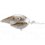 Koppers Live Target Threadfin Shad Crankbait Lure 2-1/2" - Pearl/Bronze 120848