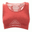La Sportiva Aurora Bra - WoMen's, Berry-Medium
